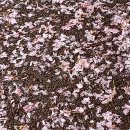 두성축산 이미지