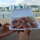 마이멍멍 이미지