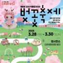 강서 낙동강30리 벚꽃축제(2025년) 티스토리