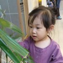 태오름한의원 이미지