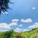 두밀숲캠핑장 이미지