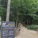 인천 늘솔길공원 양떼목장 장미원 편백숲길 아이랑가기좋은 산책코스