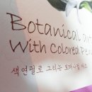 봄맞이 꽃그림 보태니컬 아트 이미지