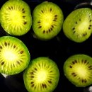 진상농장 이미지