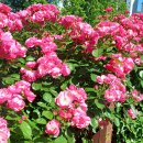 정관 구목정공원 이미지