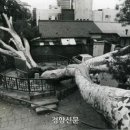 백송환경