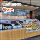 할리스 평택이충DT점 | 주차 편하고 2층 뷰 좋은 카페 평택 이충동 할리스 DT점 후기
