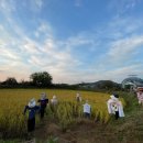 완인농장 이미지