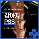 개봉동물병원 이미지