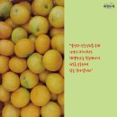 과일아삭협동조합 네이버블로그