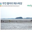 톱머리유원지 | 무안 톱머리 해변 여행 이야기