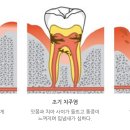 이가편한치과 이미지