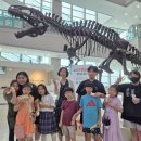 서대문자연사박물관 이미지