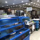 여자수산 이미지