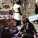 박나연 Daum카페