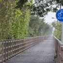 서면 자전거도로 이미지