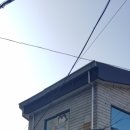 샌드블라썸 이미지