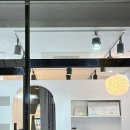 보들하이 이미지