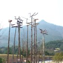 한방자연휴양림(산청) 이미지