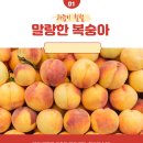 향수농장 이미지