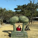 캠핑더하기 | [충청남도 공주] 계룡산 사계절 캠핑장 1박 솔직 후기ㅣ캠핑음식 추천