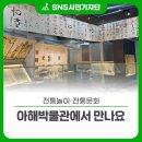 아해한국전통문화어린이박물관(아해박물관) | 🌟전통놀이·전통문화, 아해박물관에서 만나요🧒🌳