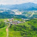 풍차랑 허브랑 이미지