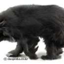 아이맘마 이미지