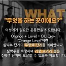 행신365한의원 | 행신역 PT : 오엘크루 PT 행신동점 (여성전용 그룹 PT) 후기