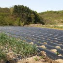 내흥리농장 이미지