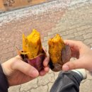 청자빌딩 | 광주 [프랭크버거- 진격거] 오픈런 성공 후기