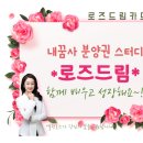스터디로드