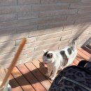 하프타임사상점 | 부산 1박 2일 여행 (2) | 모모스커피 본점 솔직 후기, 서면&amp;전포 소품샵 4곳 추천!