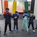 신순철 용인대 복싱클럽 이미지