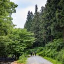 축령산 산소길(1구간) 이미지