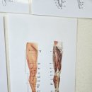 약손맥한의원 | 은평구 마사지, 응암동 약손마사지 대가를 만나다.