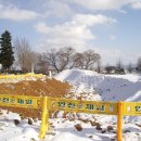 덕천초등학교 이미지