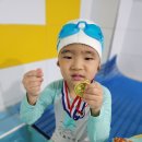 🏊‍♀️🥇수영대회🥇🏊 이미지