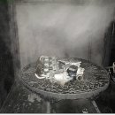 곰식이카 이미지