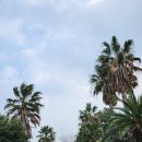 성산파라다이스힐 이미지