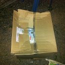 브라이트 독 이미지