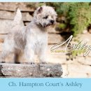 AKC`s Weekly Winners Gallery - July 21, 2010 이미지