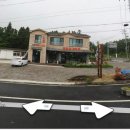 씨유안동동문점 | 무계획 제주도 꾼귤 투어 후기 - (스쿠터편)