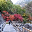 안강LPG충전소 이미지