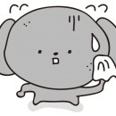 이대연어 이미지