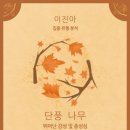 포레스트(Forest)