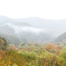 비밀의 정원 이미지