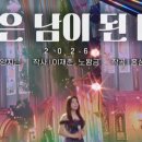 지금은 남이된 타인 / 양지은 이미지
