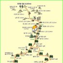 Kina Balu산(4,095M) 소개 - 이전 글을 이동해 놓았습니다. 이미지