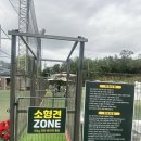 강아지 놀이터 이미지